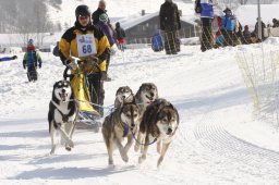 Lenk 2012 SM